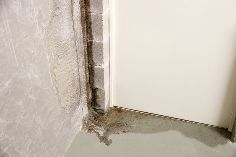 Basement Leak Repair in Fort Myers, FL