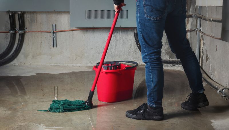Basement Leak Repair in Fort Collins, CO