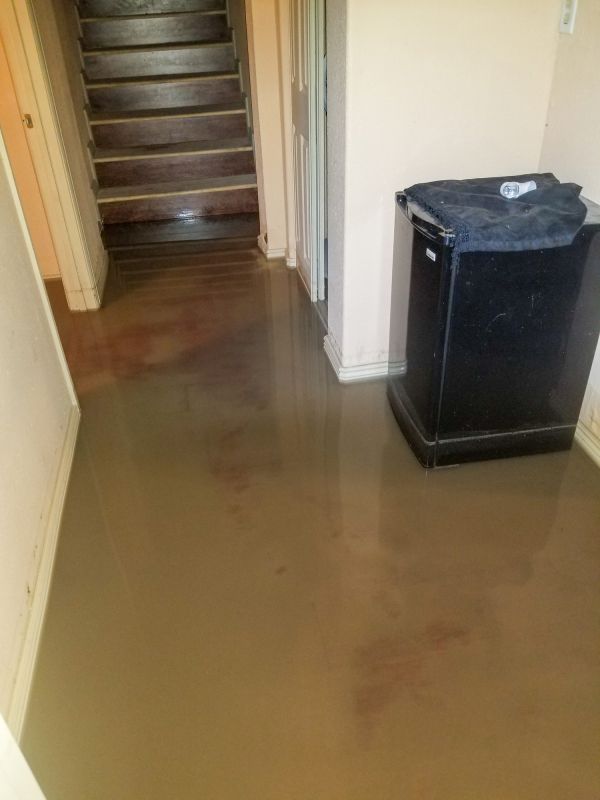 Basement Water Removal in Chandler, AZ