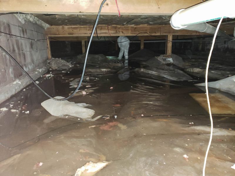 Emergency Water Removal in Mesa, AZ