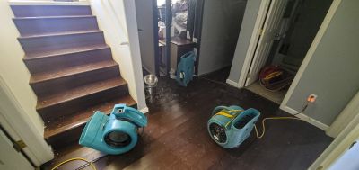 Storm Restoration Service in Mesa, AZ