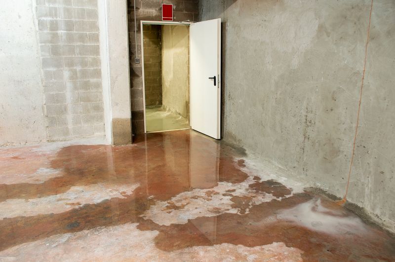 Wet Basement Repair in Greenville, SC